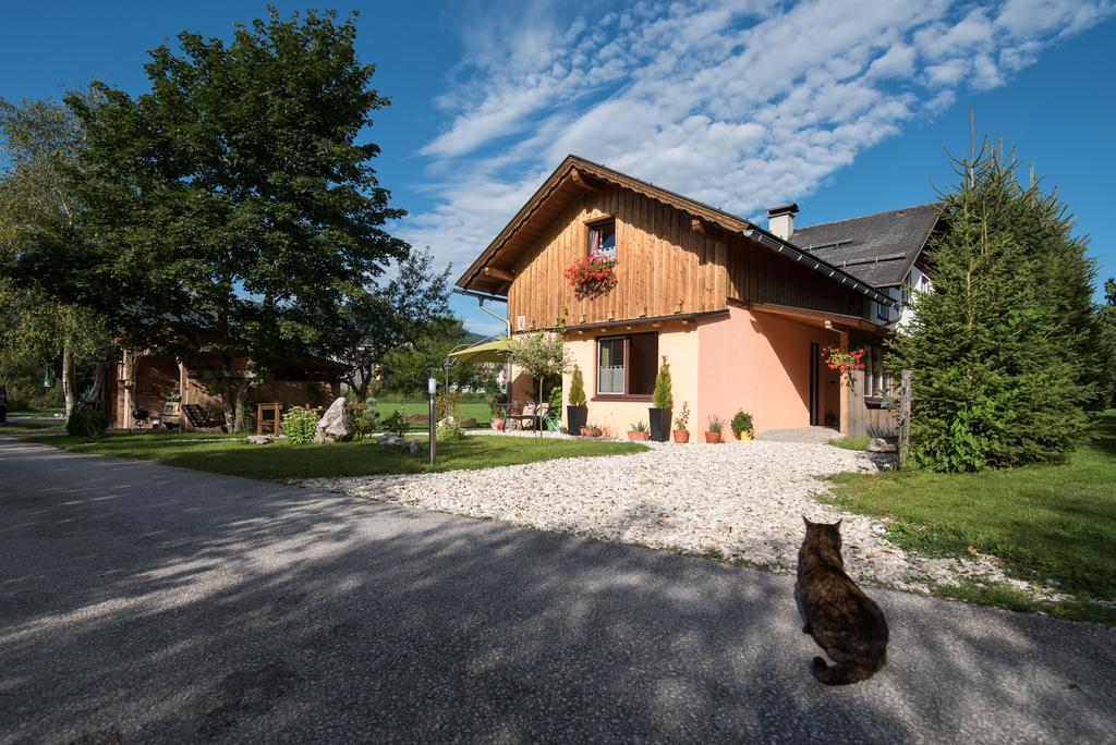 Appartement Casa Emmi à Bad Mitterndorf Extérieur photo