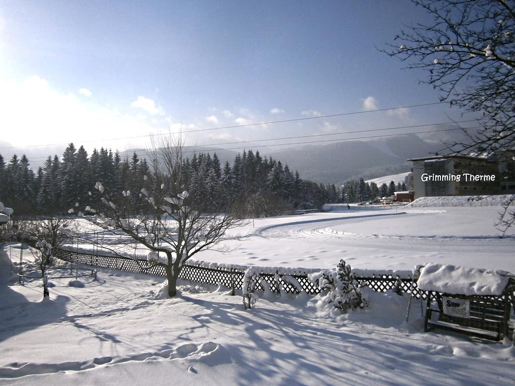 Appartement Casa Emmi à Bad Mitterndorf Extérieur photo